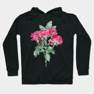 Roses Hoodie